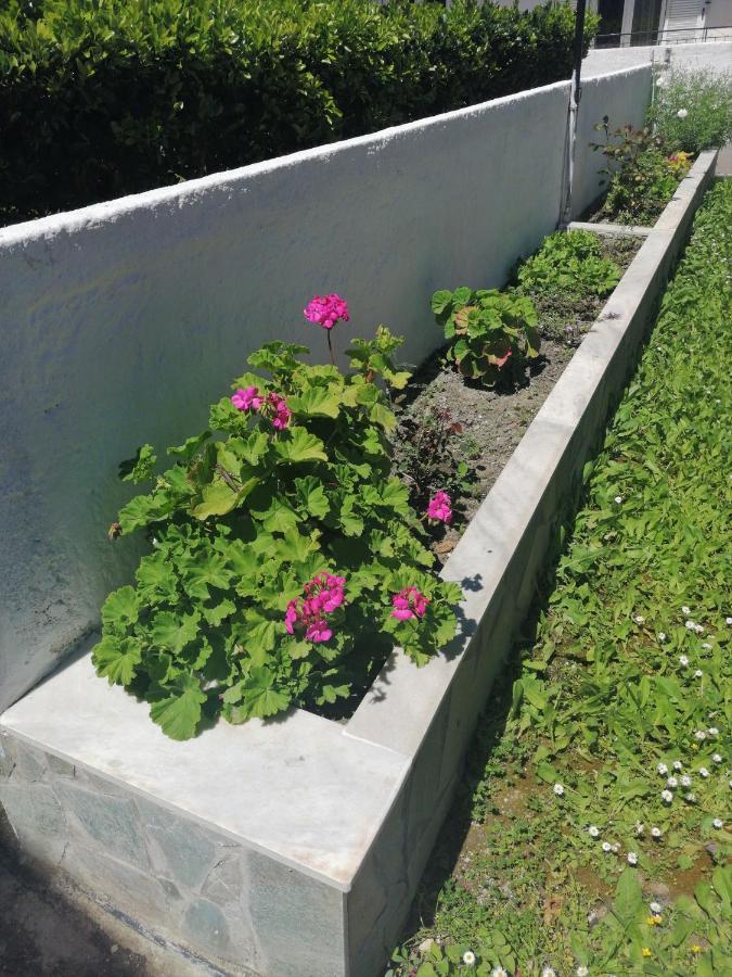 קאבוס Nikos Apartments 1 מראה חיצוני תמונה