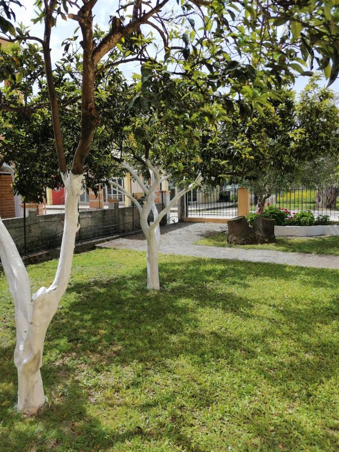 קאבוס Nikos Apartments 1 מראה חיצוני תמונה