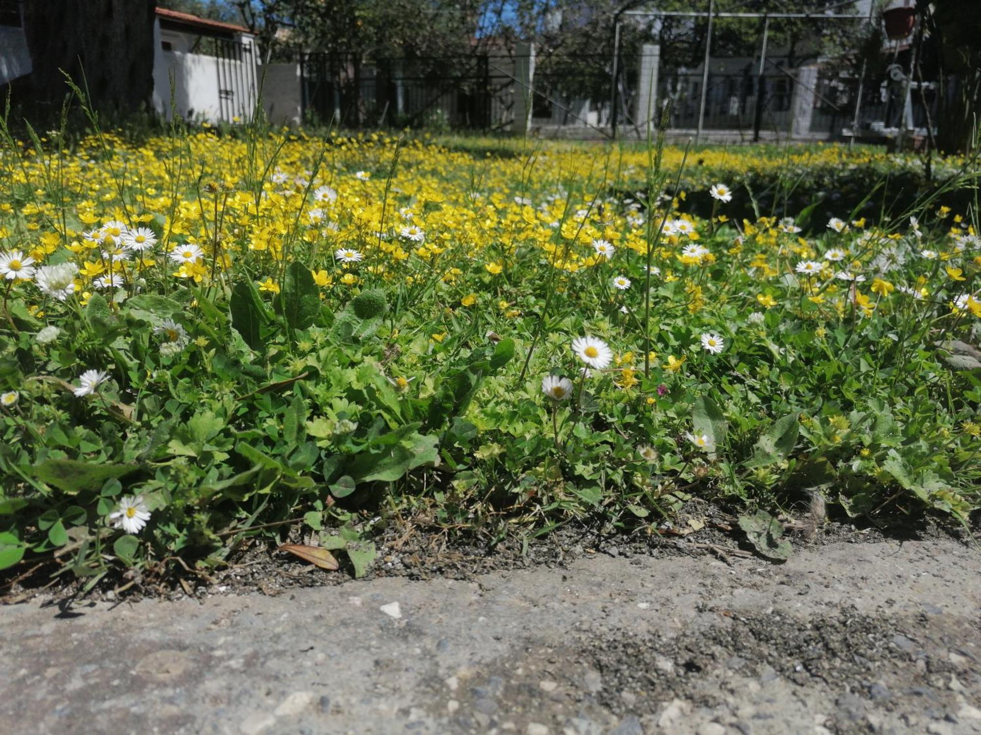 קאבוס Nikos Apartments 1 מראה חיצוני תמונה